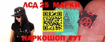 гидропоника Ярославль