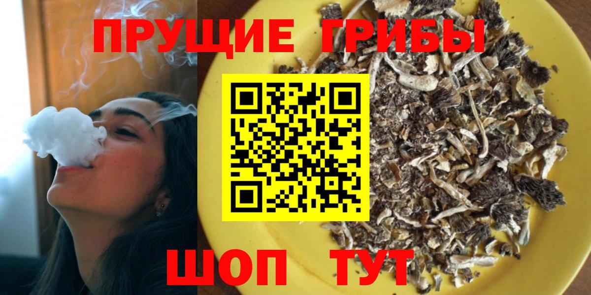 Скопин  Псилоцибиновые грибы мицелий  Галлюциногенные грибы прущие грибы  Вход с VPN 