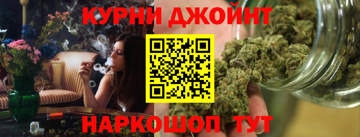 Каннабис сатива Скопин